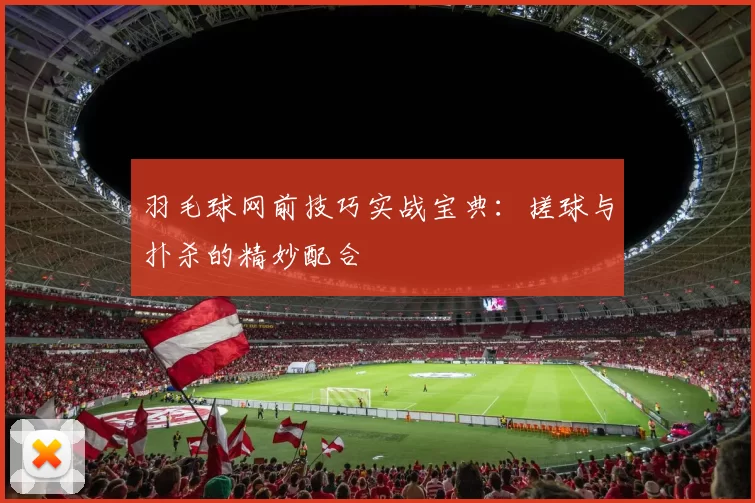 羽毛球网前技巧实战宝典：搓球与扑杀的精妙配合