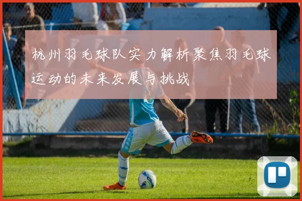 杭州羽毛球队实力解析聚焦羽毛球运动的未来发展与挑战