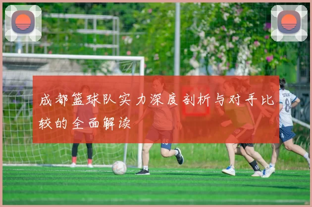 成都篮球队实力深度剖析与对手比较的全面解读