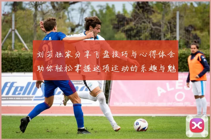 刘芳独家分享飞盘技巧与心得体会助你轻松掌握这项运动的乐趣与魅力