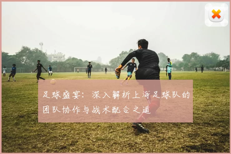足球盛宴：深入解析上海足球队的团队协作与战术配合之道