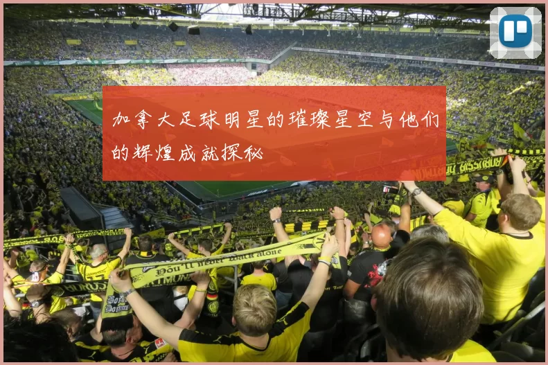 加拿大足球明星的璀璨星空与他们的辉煌成就探秘