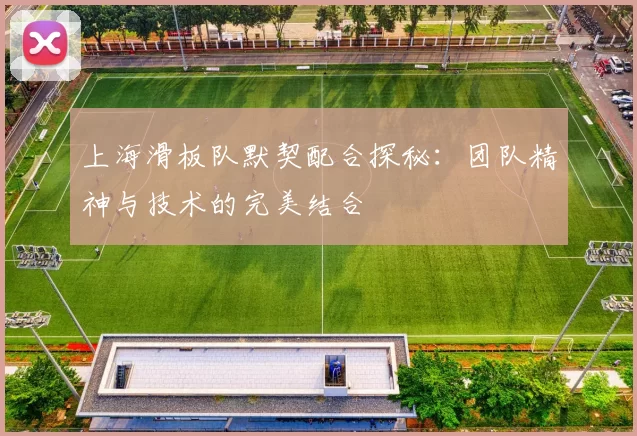 上海滑板队默契配合探秘：团队精神与技术的完美结合