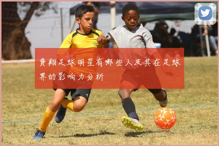 费翔足球明星有哪些人及其在足球界的影响力分析