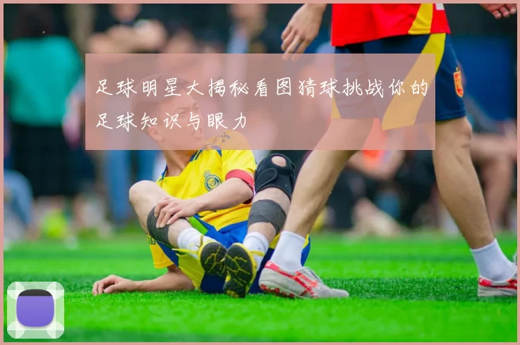 足球明星大揭秘看图猜球挑战你的足球知识与眼力