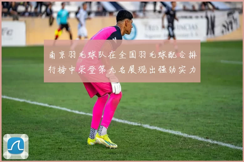 南京羽毛球队在全国羽毛球配合排行榜中荣登第九名展现出强劲实力与团队默契