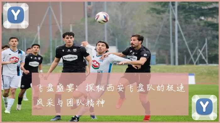 飞盘盛宴：探秘西安飞盘队的极速风采与团队精神