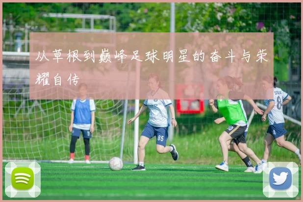 从草根到巅峰足球明星的奋斗与荣耀自传