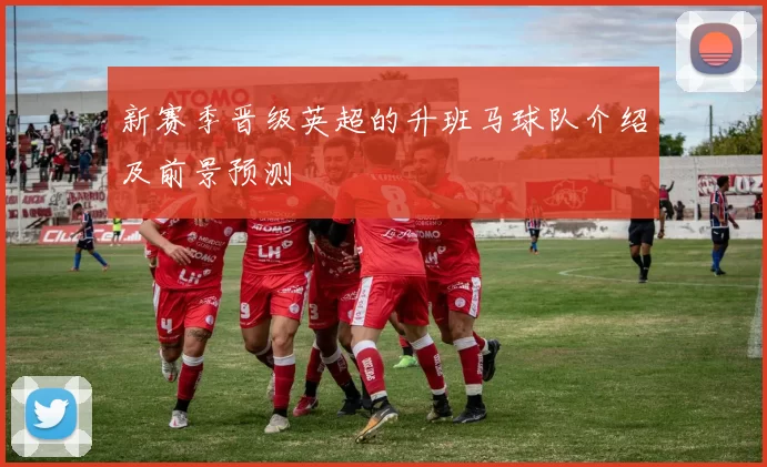 新赛季晋级英超的升班马球队介绍及前景预测