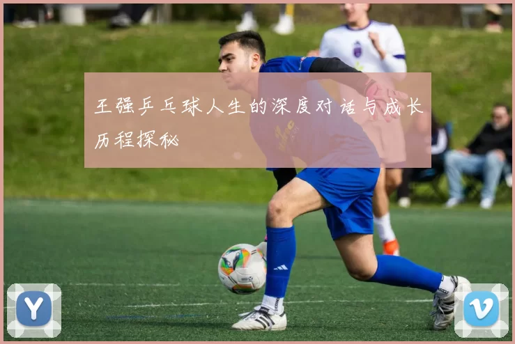 王强乒乓球人生的深度对话与成长历程探秘