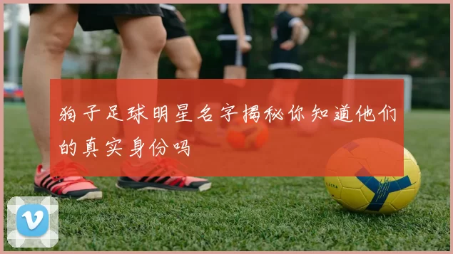狗子足球明星名字揭秘你知道他们的真实身份吗