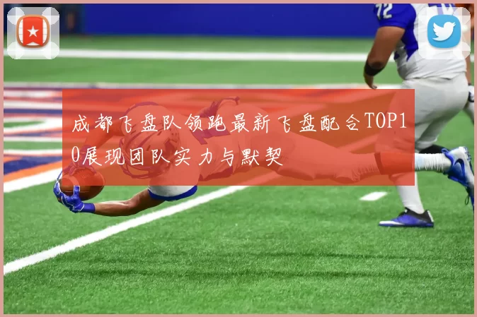 成都飞盘队领跑最新飞盘配合TOP10展现团队实力与默契