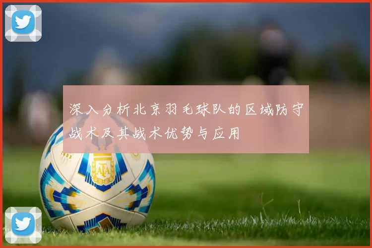 深入分析北京羽毛球队的区域防守战术及其战术优势与应用