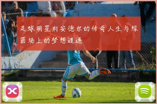 足球明星利安德尔的传奇人生与绿茵场上的梦想追逐