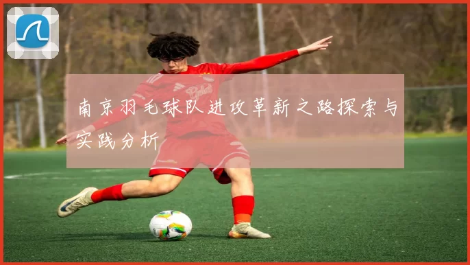 南京羽毛球队进攻革新之路探索与实践分析