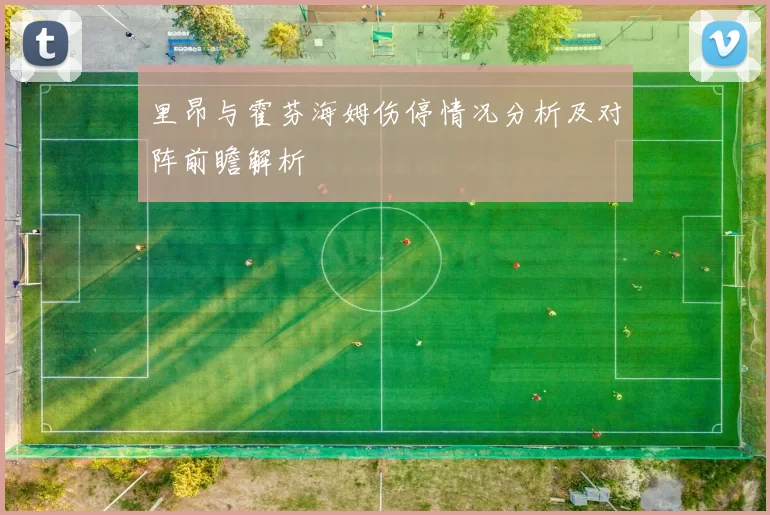 里昂与霍芬海姆伤停情况分析及对阵前瞻解析