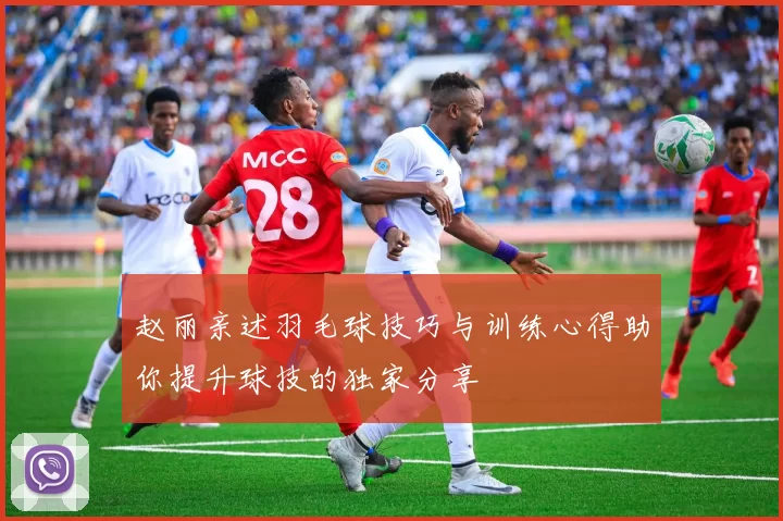 赵丽亲述羽毛球技巧与训练心得助你提升球技的独家分享