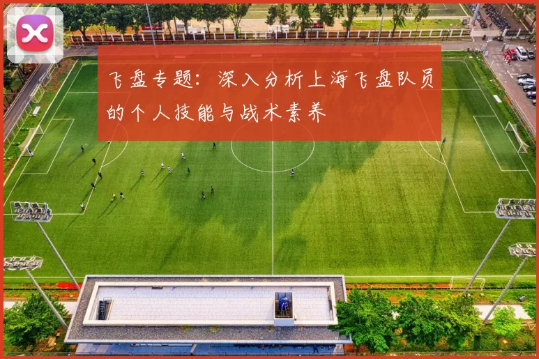 飞盘专题：深入分析上海飞盘队员的个人技能与战术素养