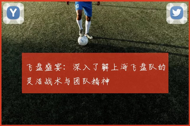 飞盘盛宴：深入了解上海飞盘队的灵活战术与团队精神