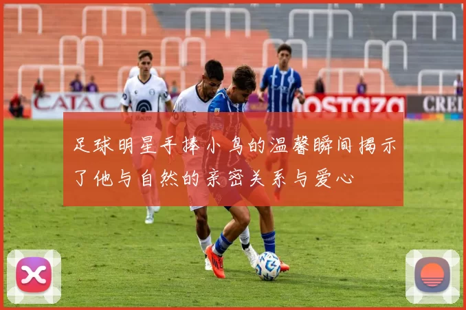 足球明星手捧小鸟的温馨瞬间揭示了他与自然的亲密关系与爱心