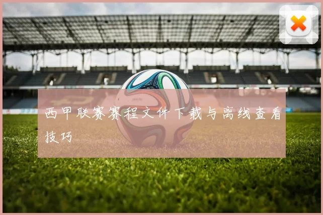 西甲联赛赛程文件下载与离线查看技巧