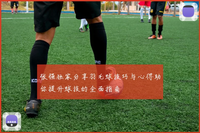 张强独家分享羽毛球技巧与心得助你提升球技的全面指南
