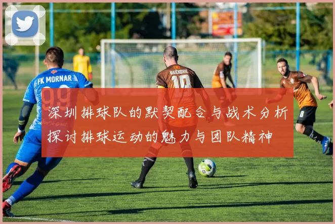 深圳排球队的默契配合与战术分析探讨排球运动的魅力与团队精神